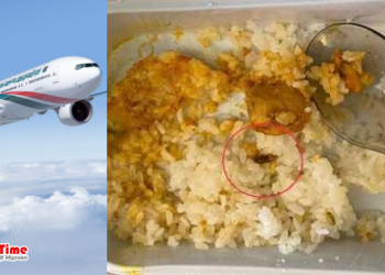 বাংলাদেশ বিমানের খাবারে তেলাপোকা