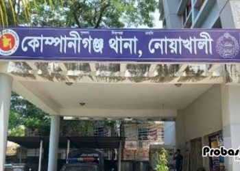 প্রবাসী বন্ধুর স্ত্রীকে ফাঁদে ফেলে আপত্তিকর ভিডিও ধারণ