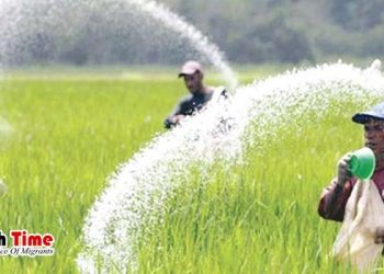 কাতার ও আমিরাত থেকে ৬০ হাজার মেট্রিক টন সার কিনবে সরকার
