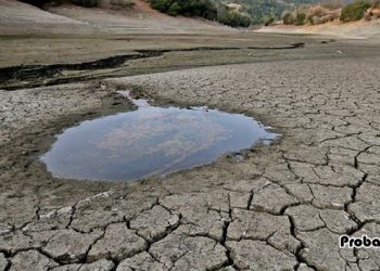 শুকিয়ে যাচ্ছে আরব দেশ, বিকল্প অর্থনীতির দিকে ঝুঁকছে ওমান