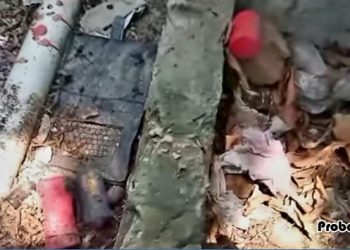 প্রবাসীর বাড়িতে ককটেল বিস্ফোরণ, দুই শিশু হাসপাতালে