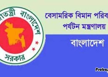 ডলার নয়, ফ্লাইটের ভাড়া নির্ধারণ হবে টাকায়