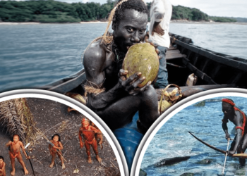 পোশাক পরে না