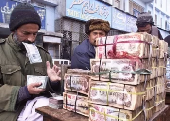 875fdd6 6512b304d68f1