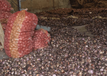 পেঁয়াজে