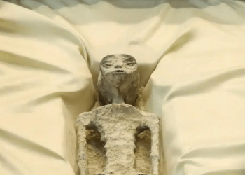 এলিয়েন