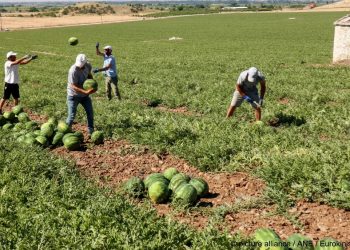 শ্রমবাজার