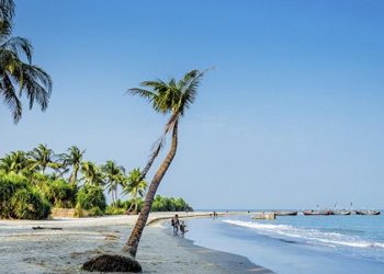 সেন্টমার্টিন 03 2309130448