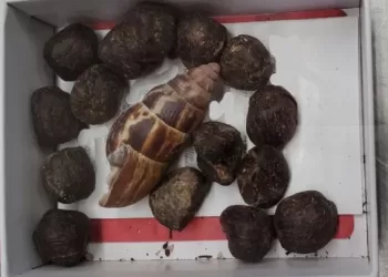 জিরাফ বিমানবন্দর