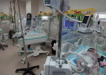 ফিলিস্তিন