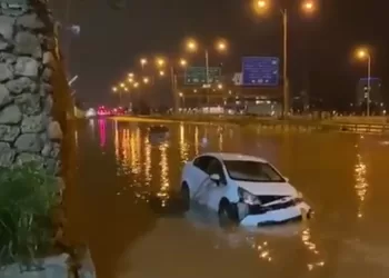 ইসরায়েল