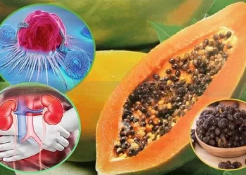 ক্যানসার