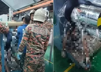 প্রবাসী