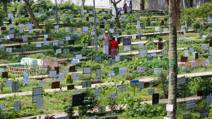 কিয়ামত