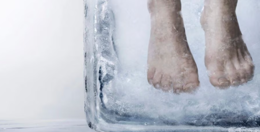 Sghdfgdhrtuyhxfzsdfct 5