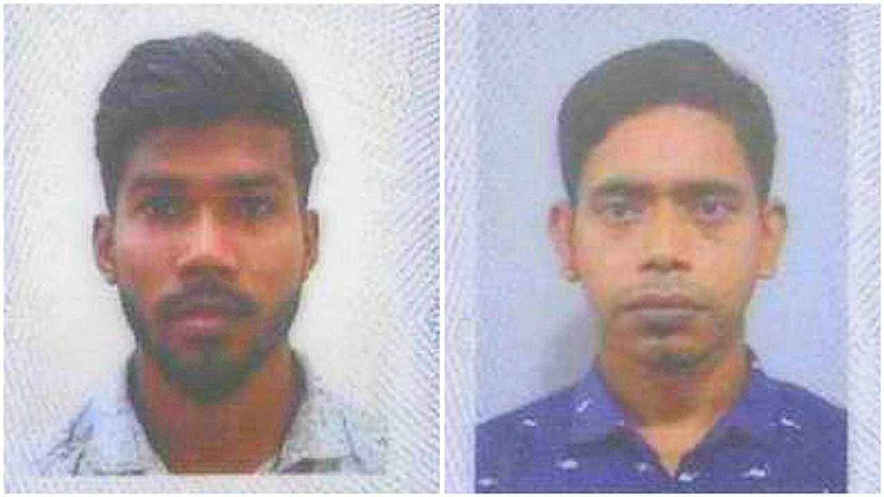 4 03 05 at 12.06.19 pm