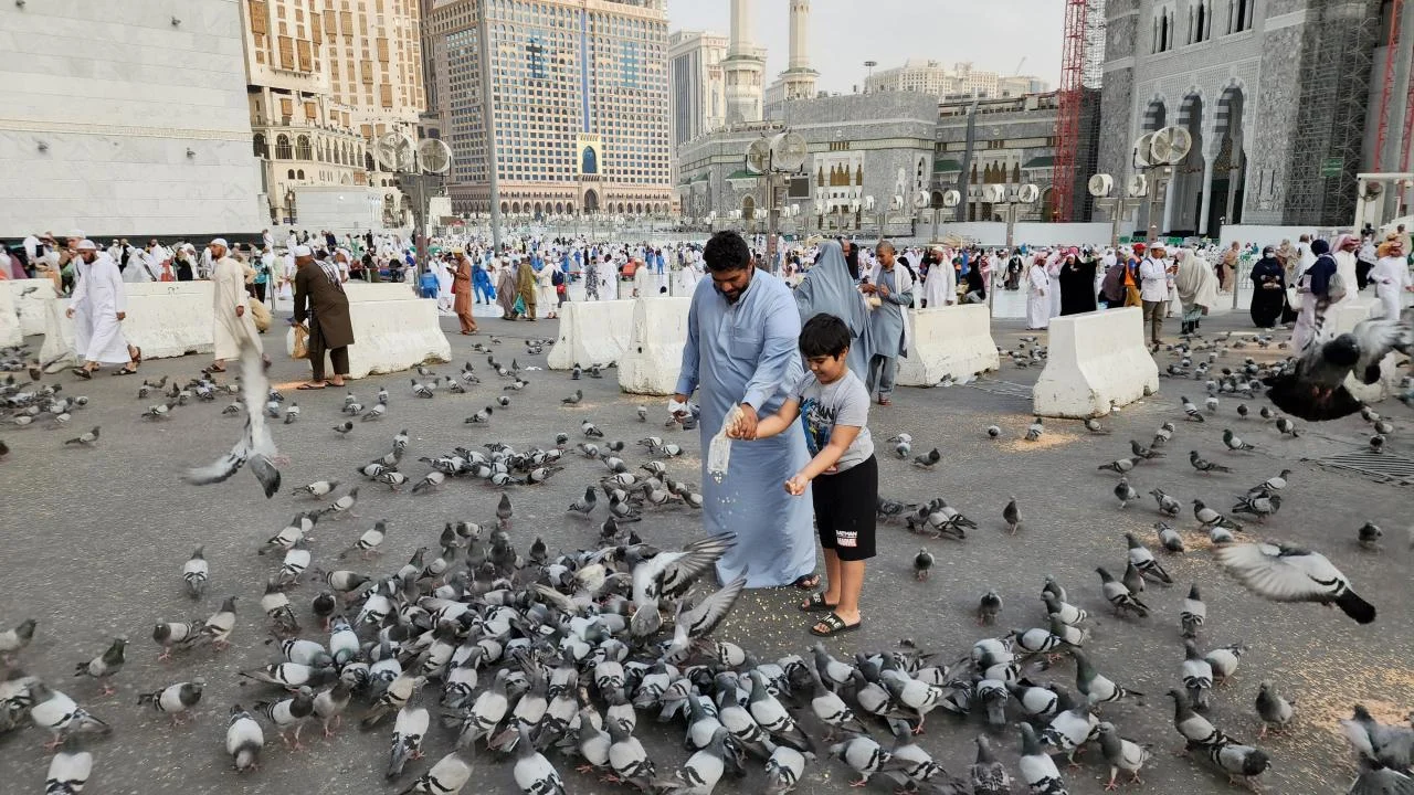 মসজিদুল হারামের আঙিনায় কবুতরের ঝাঁক