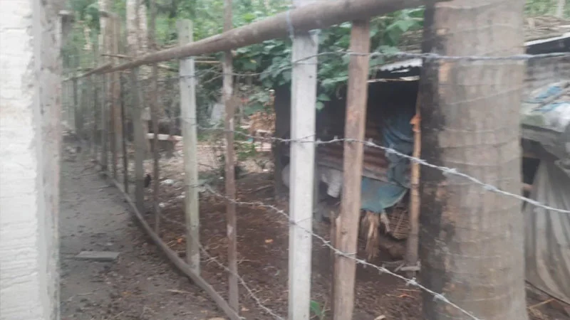 প্রবাসীর পরিবার