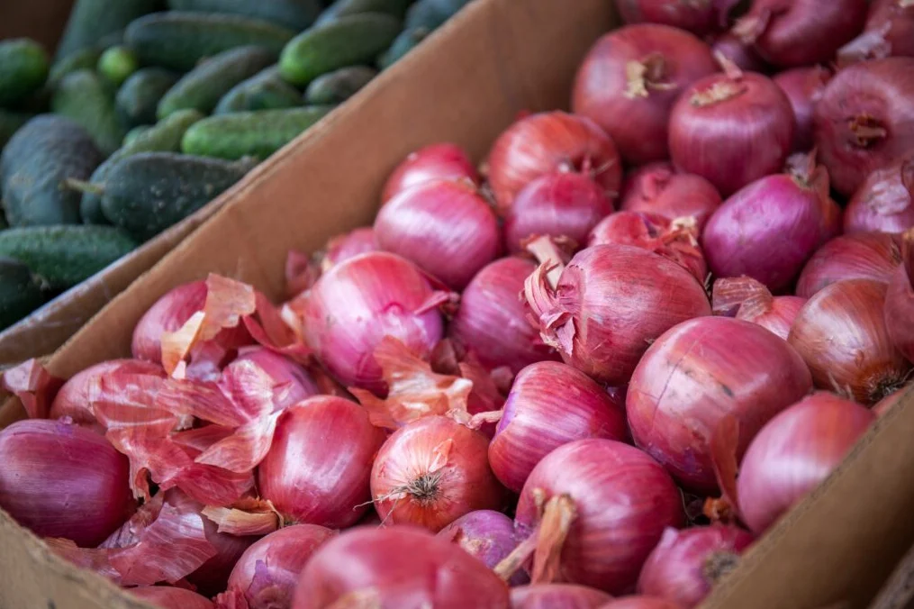 মধ্যপ্রাচে রোজার আগে কমছে পেঁয়াজের দাম!
