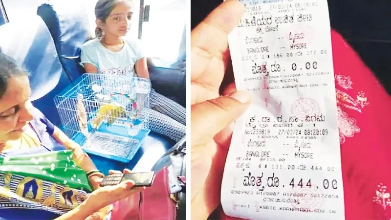 তোতা সঙ্গে নিতে কিনতে হলো বাসের টিকিট!