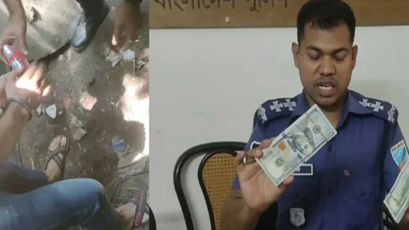 সেপটিক ট্যাংকে মিলল ৪০ হাজার ডলার