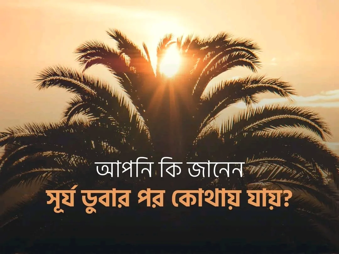 আপনি কি জানেন, সূর্য ডুবার পর কোথায় যায়?