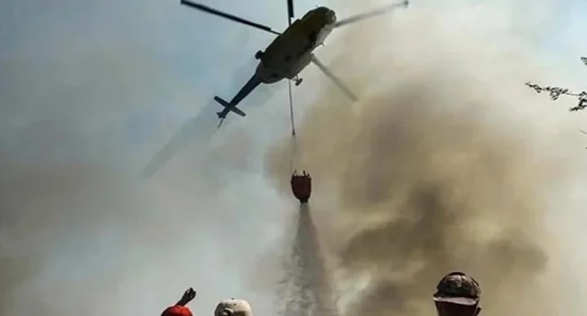 হেলিকপ্টার বিধ্বস্ত হয়ে নিহত ৪