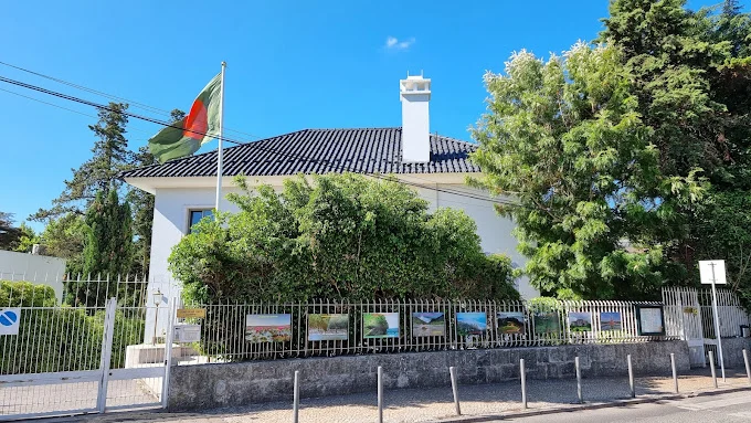 উদাসীন দূতাবাস কর্মকর্তারা, প্রবাসীদের সীমাহীন ভোগান্তি