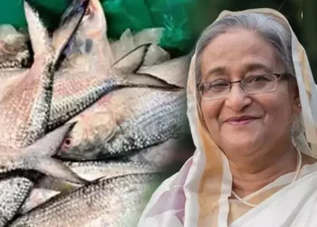 নিষেধাজ্ঞা সত্ত্বেও ভারতকে ইলিশ দিতেন শেখ হাসিনা