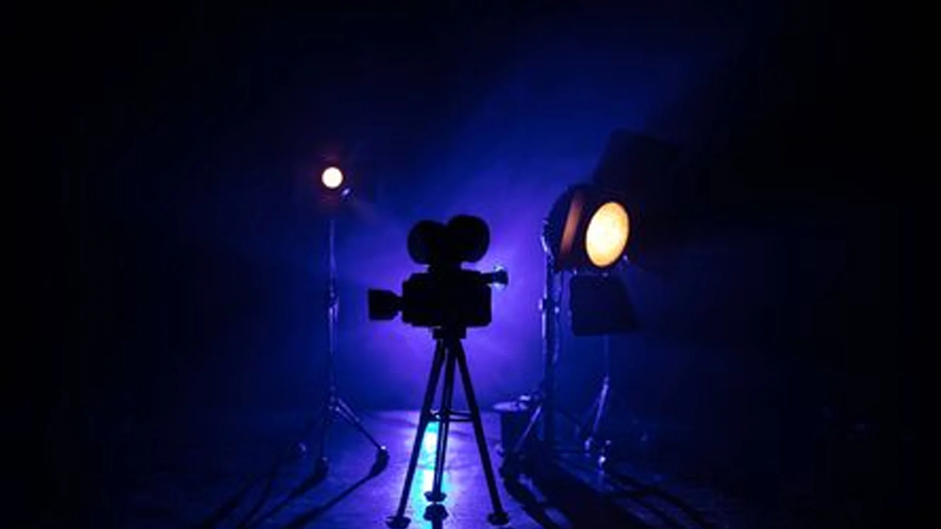 নারীদের অজ্ঞান করে নীল সিনেমার শুটিং, ১০ বছরের জেল