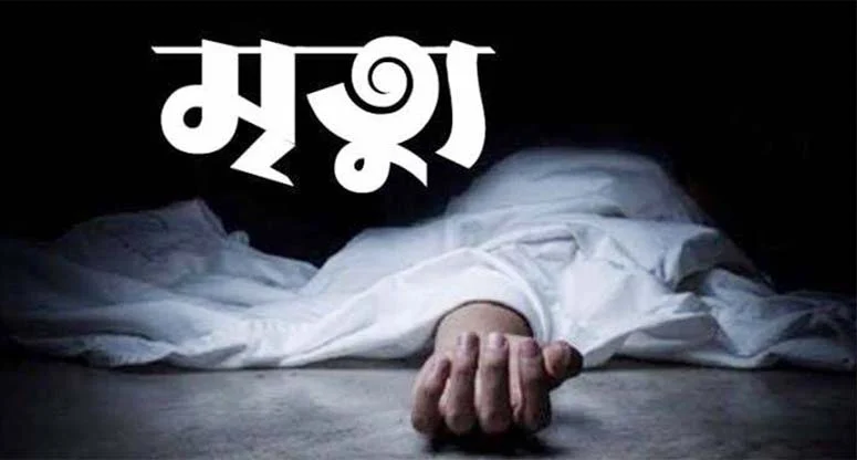 প্রবাসী ছেলের লাঠির আঘাতে বাবার মৃত্যু