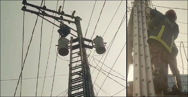 ১১ হাজার ভোল্টের খুঁটিতে উঠে পড়লেন মানসিক ভারসাম্যহীন যুবক