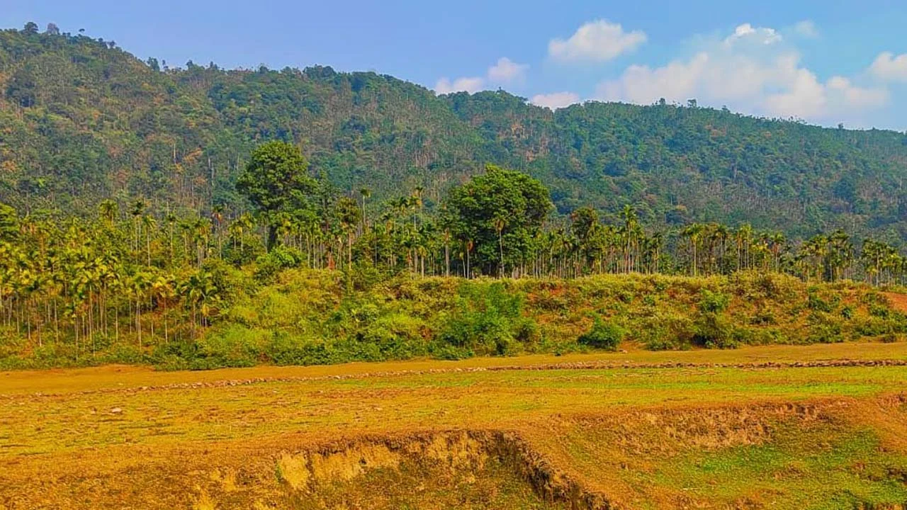 ভারতীয় খাসিয়ার গুলিতে বাংলাদেশি কিশোর নিহত