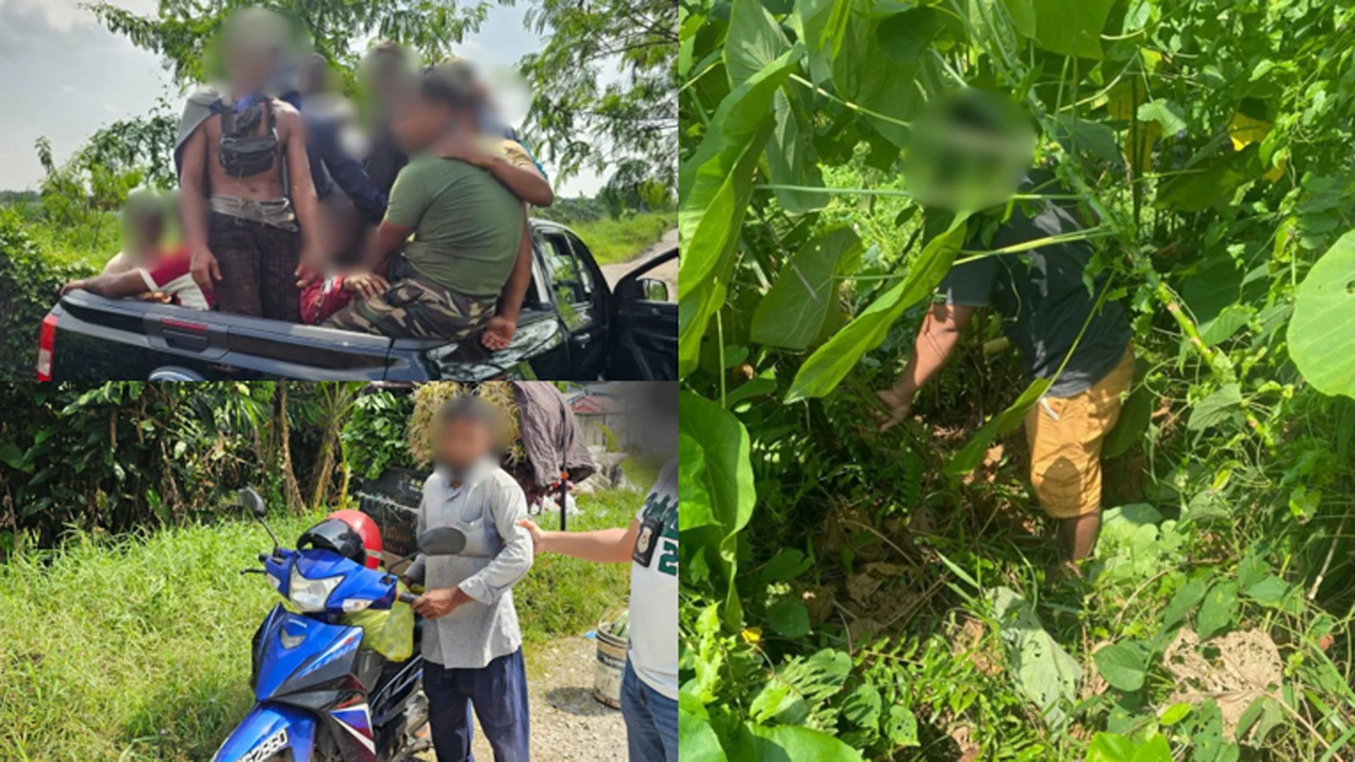 মালয়েশিয়ার সবজি বাগান থেকে ৪২ প্রবাসী অভিবাসী আটক