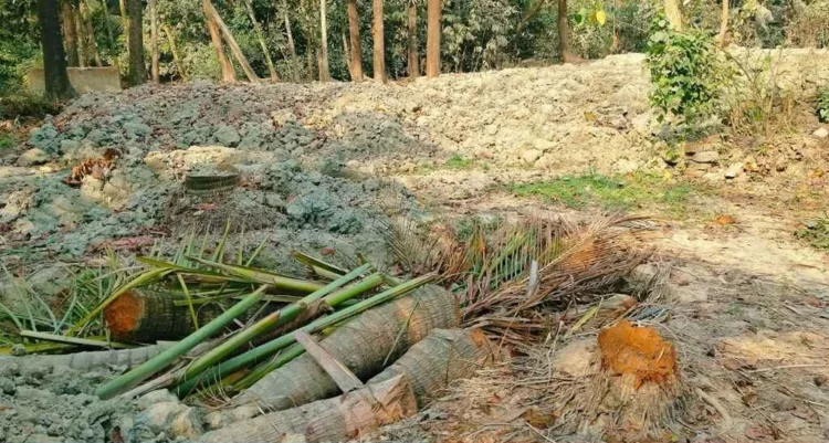 ভিটামাটি দখলে মরিয়া জামায়াত নেতা, আতঙ্কে প্রবাসীর পরিবার