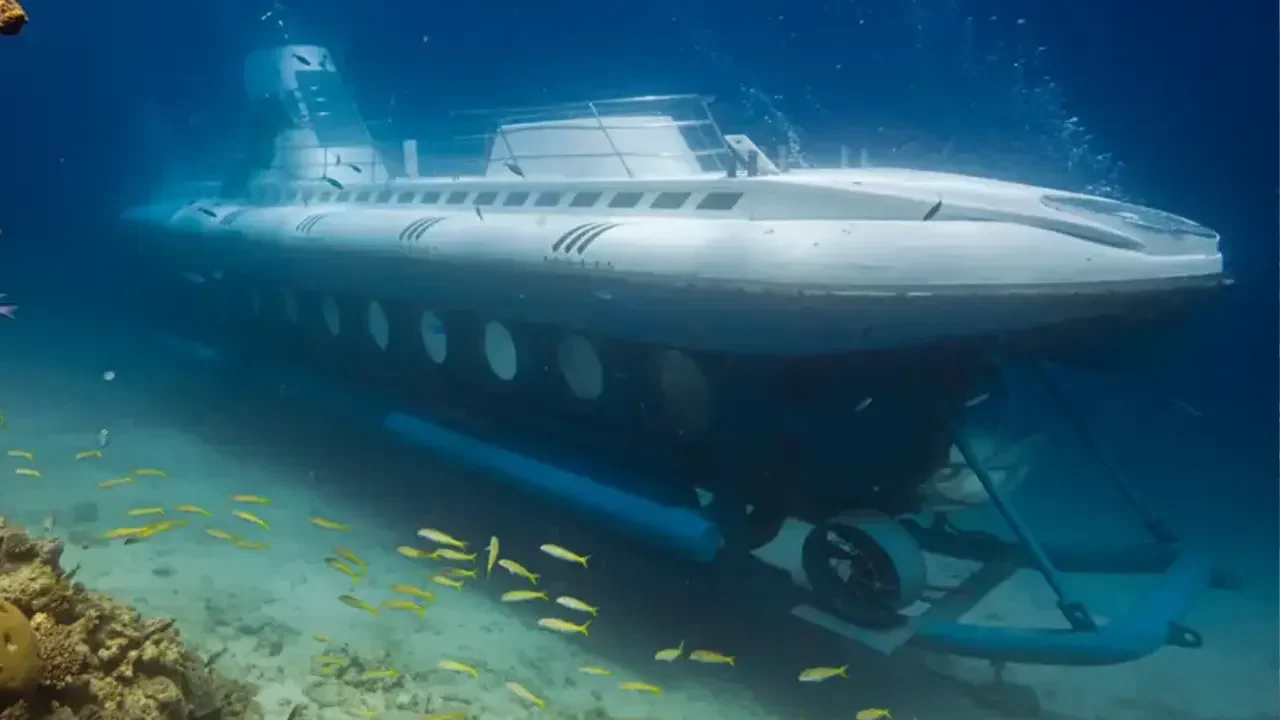 লোহিত সাগরে পর্যটকবাহী সাবমেরিন বিস্ফোরণ, নিহত ৬