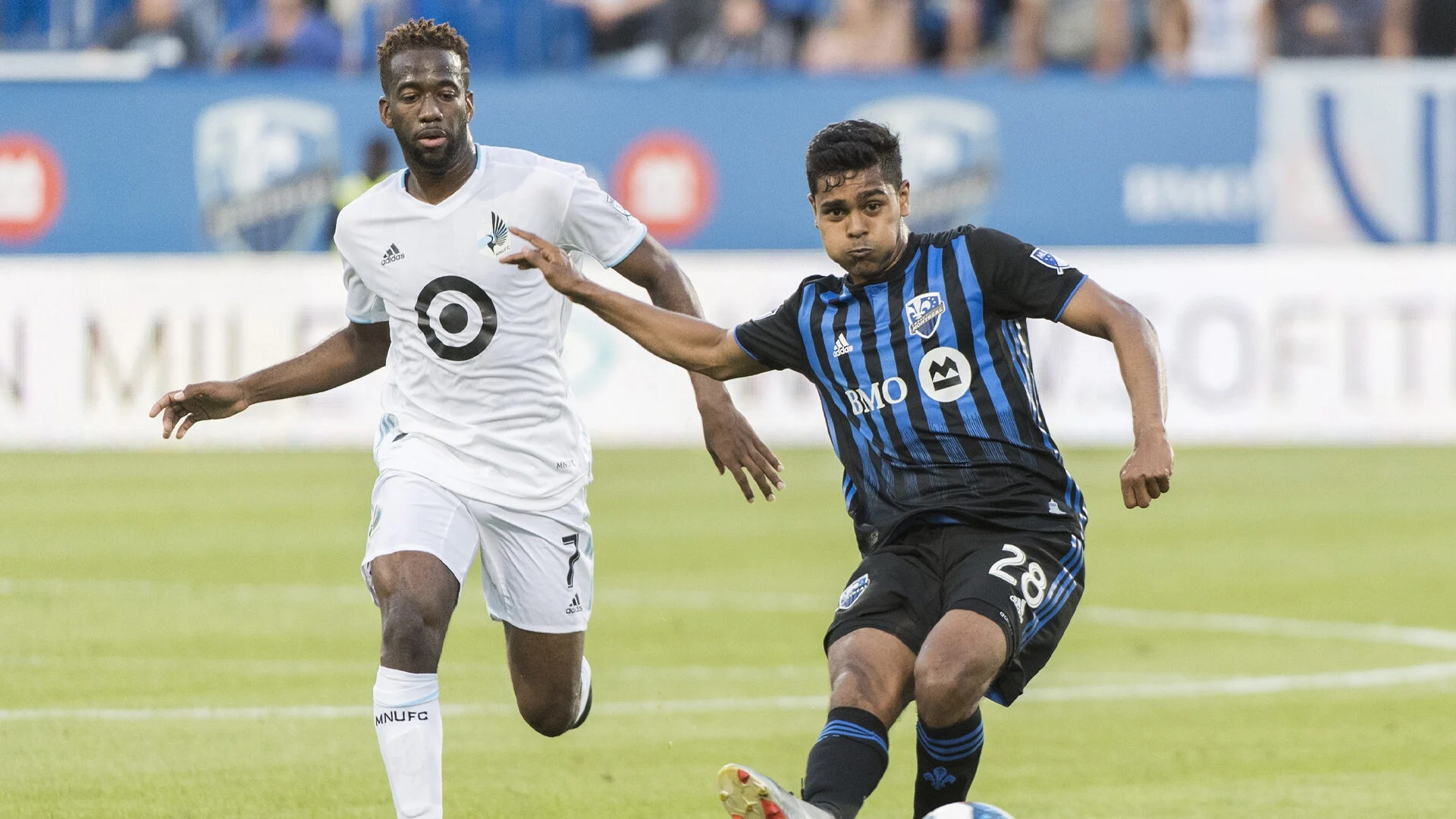 বাংলাদেশি জন্মসনদ পাচ্ছেন সামিত সোম, জুনে হবে তো অভিষেক?