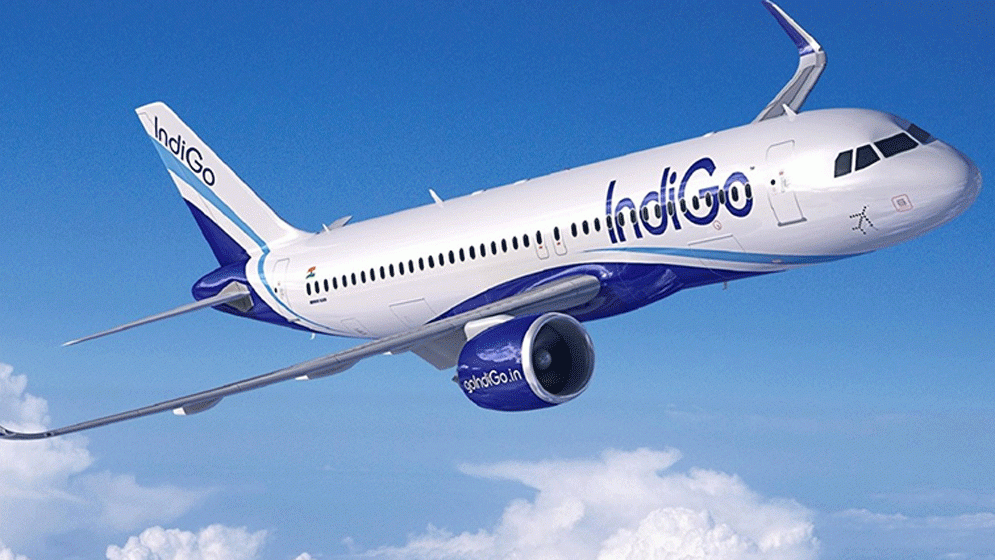 বিমানেও মশার উৎপাত, ক্ষুব্ধ তরুণী