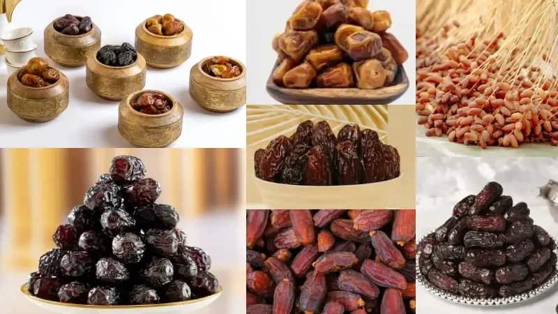 বিশ্বের সবচেয়ে দামী ১১ টি খেজুর